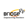 Bridgei2p icon
