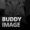 Buddy Image logo