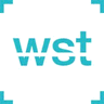 Weseethrough logo