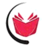 Read light Novel logo