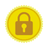 SSLs logo