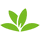 Seek by iNaturalist icon