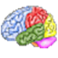Brain Workshop logo