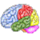 Evolution Brain Training icon