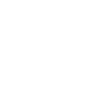 JSON Parser logo