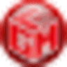 ENIGMA – LateralGM logo