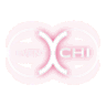 CHINetwork.io logo