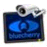Bluecherry logo