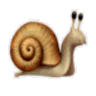 Snailbox logo