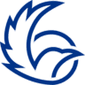 DevRaven logo