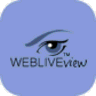 Webliveview logo