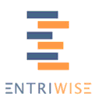 Entriwise logo