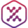 LocalXpose icon