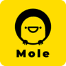 Mole.is logo
