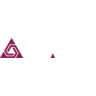 TAMI icon