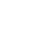 VenturusAI icon