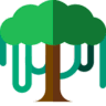 Canopy API icon