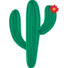 Cactus Hire icon