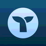 Triple Whale icon