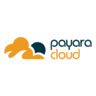 Payara Cloud icon