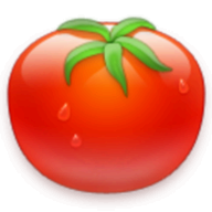 Tomato Timer logo