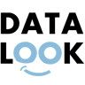 Data Look logo