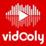 Vidooly logo