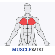 MuscleWiki logo