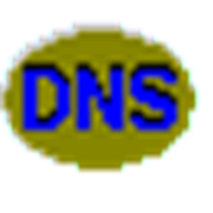 DNSDataView logo