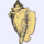 fish shell icon