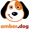 amber.dog logo