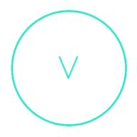 Visualify logo