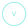 Visualify logo