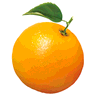 Orange Mailer icon