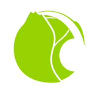 Cabbage Studio logo