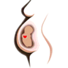 Gestational Age logo