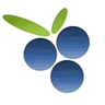 Findberry logo
