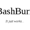 BashBurn logo