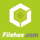 Filehex logo