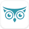 OwlStat.io logo