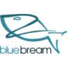 BlueBream logo