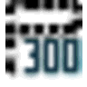 p300 logo