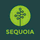 Sequoia One logo