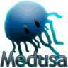 Medusa - Disassembler logo