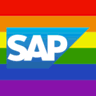 SAP Data Services logo