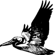 Pelican logo