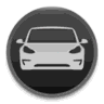 Valet for Tesla logo