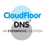 CloudfloorDNS logo