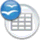 Business Valuation icon