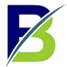 Blink Consulting logo